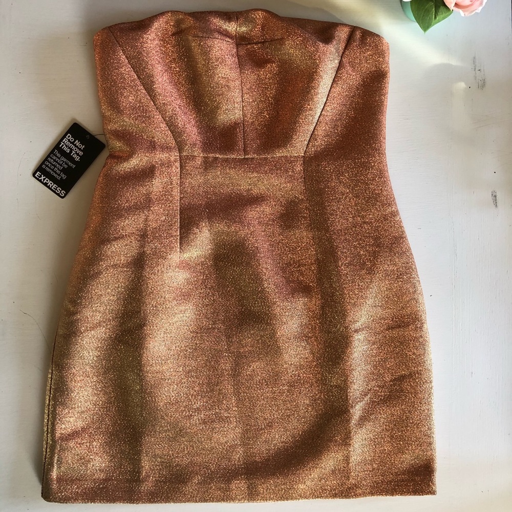 Express Rose Gold Evening Cocktail Party Dress